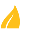 Most Ecological Steam Cleaner